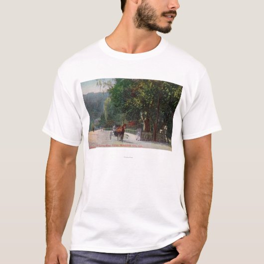 Uitzicht in Shady Lane, vervoer van paarden T-shirt (Voorkant)