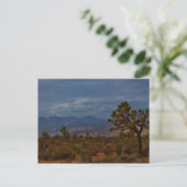Uitzicht Joshua Tree Briefkaart (Staand voorkant)