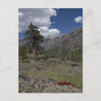 uitzicht langs het traject sutton mine briefkaart