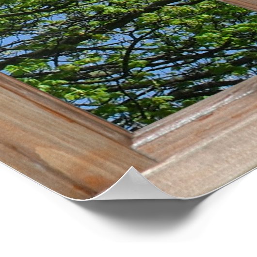 Uitzicht Leafy Tree van een venster Poster (Hoek)