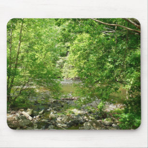 Uitzicht Maryland Natuur Fotografie Muismat