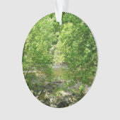 Uitzicht Maryland Natuur Fotografie Ornament (voorkant)