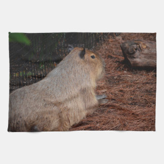 uitzicht met het regale capybara back theedoek