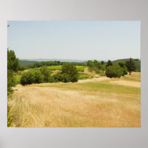 Uitzicht met hoge hoek van een veld, provincie Sie Poster