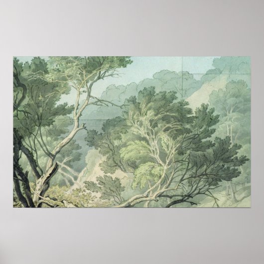 Uitzicht nabij Fordlands, Exeter Poster (Voorkant)