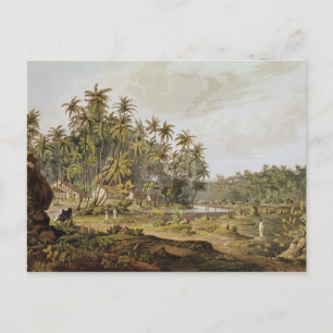 Uitzicht nabij Point du Galle, Ceylon Briefkaart