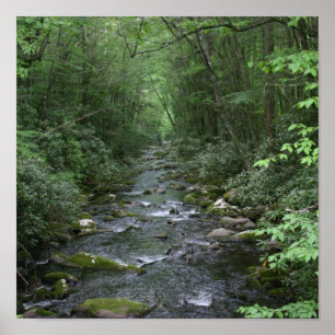 Uitzicht Oconuluftee Poster