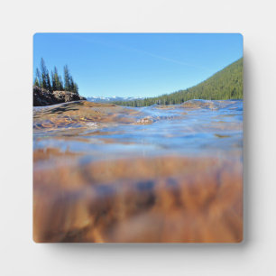 Uitzicht onder water bij het Little Cultus Lake, O Fotoplaat