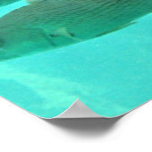 Uitzicht onderwater vis poster (Hoek)