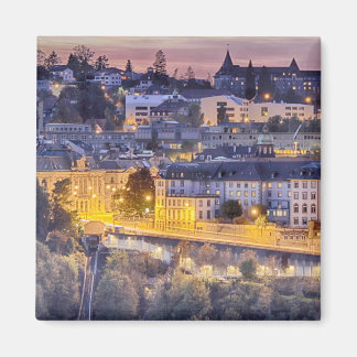 Uitzicht op Fribourg in de vroege avond Magneet