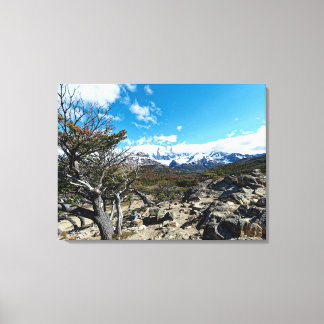 Uitzicht op Mt Fizroy Canvas Afdruk