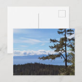 Uitzicht over de bomen van East Sooke, BC, Canada Briefkaart (Voorkant / Achterkant)