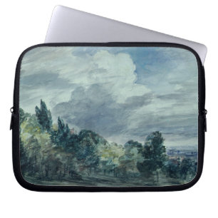 Uitzicht over een breed landschap, met bomen in de laptop sleeve