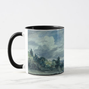 Uitzicht over een breed landschap, met bomen in de mok