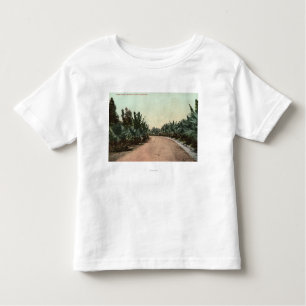 Uitzicht Palmschijf Kinder Shirts