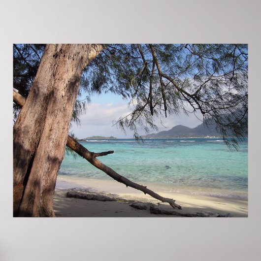 Uitzicht Poster (Voorkant)