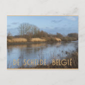 Uitzicht Schelde, Dendermonde, België Briefkaart (Voorkant)