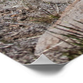 Uitzicht Sierra Mountain Poster (Hoek)