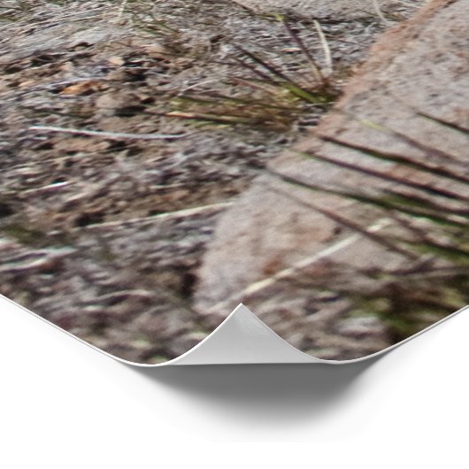 Uitzicht Sierra Mountain Poster (Hoek)