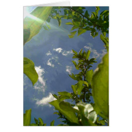 Uitzicht uit de Apple-boom