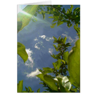 Uitzicht uit de Apple-boom