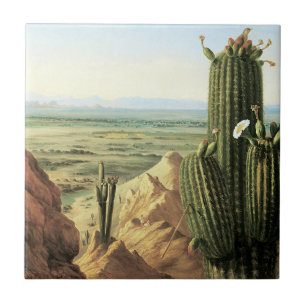Uitzicht uit de Maricopa-berg bij de Gila Tegeltje