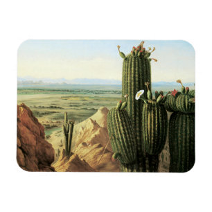 Uitzicht uit de Maricopa-berg nabij de Gila Magneet