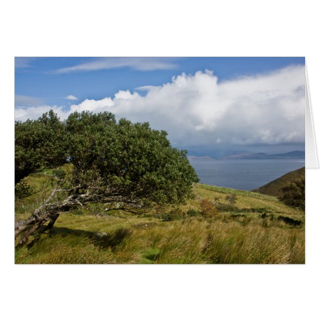 Uitzicht uit Drung Hill (Voorkant Horizontaal)