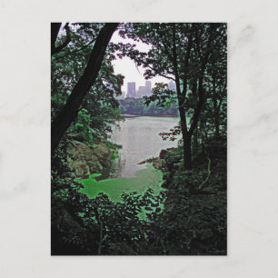 Uitzicht uit het Ramble-Central Park Colorized Bri Briefkaart