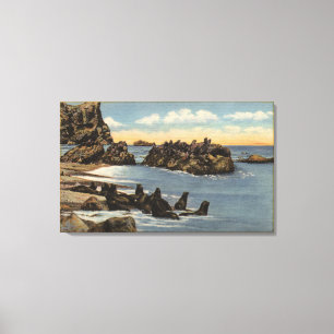 Uitzicht van afdichtingen canvas afdruk