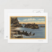 Uitzicht van afdichtingen met afdichtingen briefkaart (Voorkant / Achterkant)