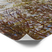 Uitzicht van Akseli Gallen-Kallela Poster (Hoek)