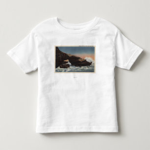 Uitzicht van Alligator Head, La Jolla Kinder Shirts