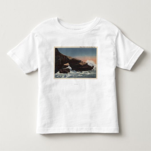 Uitzicht van Alligator Head, La Jolla Kinder Shirts (Voorkant)
