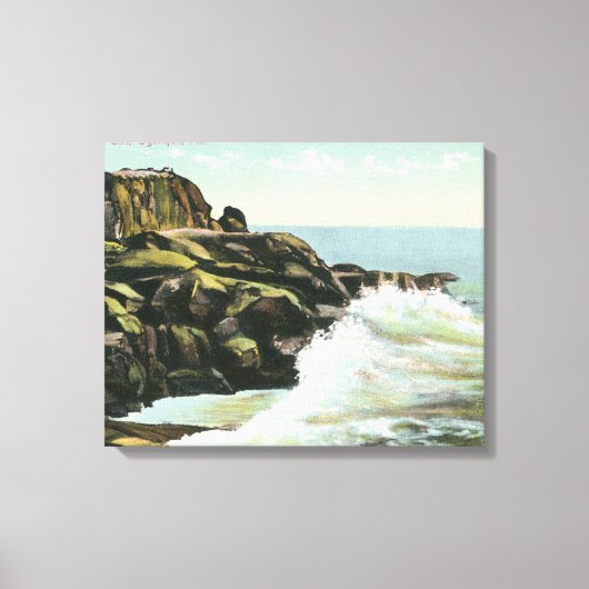 Uitzicht van Bald Head Cliff Canvas Afdruk (Voorkant)