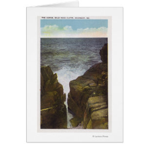 Uitzicht van Bald Head Cliffs, de Gorge