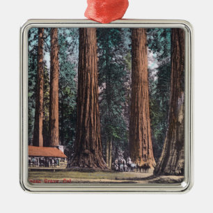 Uitzicht van Big Trees in Mariposa Grove Metalen Ornament