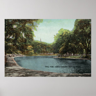 Uitzicht van Boston Common Frog Pond # 2 Poster