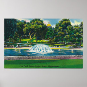 Uitzicht van Boston Common Frog Pond Poster