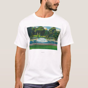 Uitzicht van Boston Common Frog Pond T-shirt