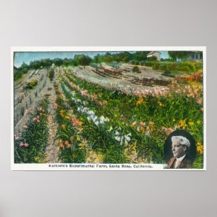 Uitzicht van Burbanks Experimental Boerderij Poster