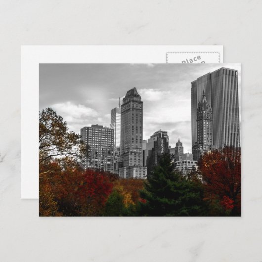 Uitzicht van Central Park in New York City Briefkaart (Voorkant / Achterkant)