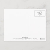 Uitzicht van Chicago Briefkaart (Achterkant)
