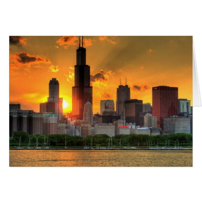 Uitzicht van Chicago's skyline van Adler (Voorkant Horizontaal)