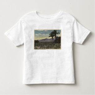 Uitzicht van Dates Groei nabij het Zee Salton Kinder Shirts