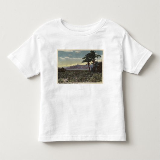 Uitzicht van Dates Groei nabij het Zee Salton Kinder Shirts (Voorkant)