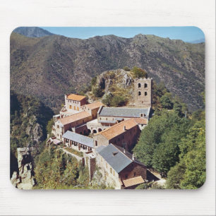 Uitzicht van de Abbey of St. Martin du Canigou Muismat