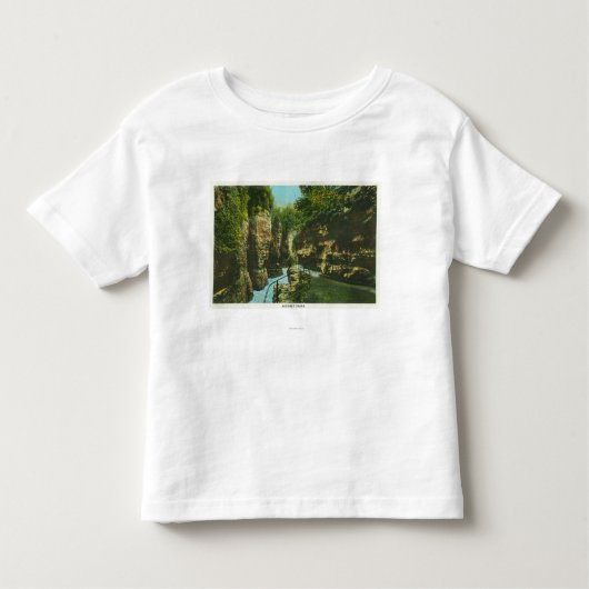 Uitzicht van de Abruikbare kudde Kinder Shirts (Voorkant)