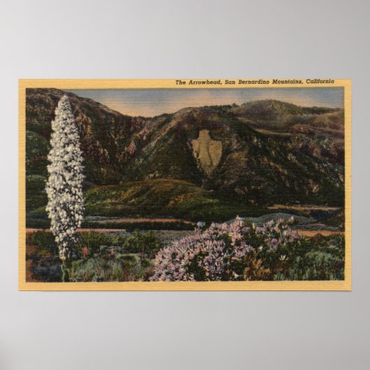 Uitzicht van de Arrowiad - San Bernardino Mts., CA Poster (Voorkant)