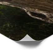 Uitzicht van de baai poster (Hoek)